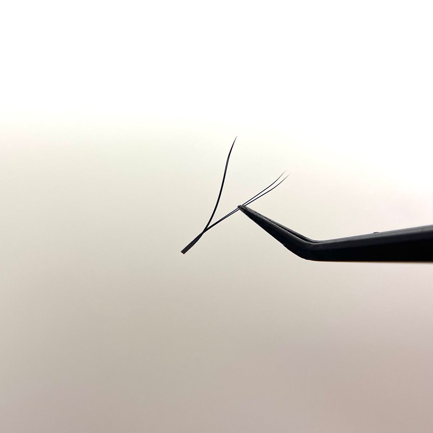 GRIND O' CLOCK VOLUME TWEEZER